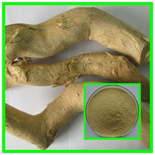 Eurycoma longifolia extract, Tongkat Ali extract