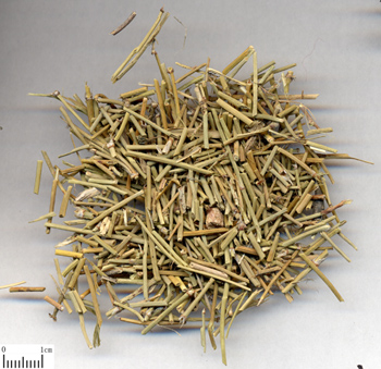 Chinese ephedra herb extract