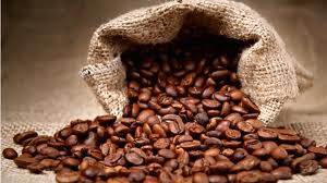 Coffee Bean extract
