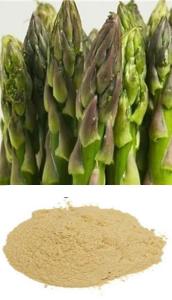 Asparagus extract 